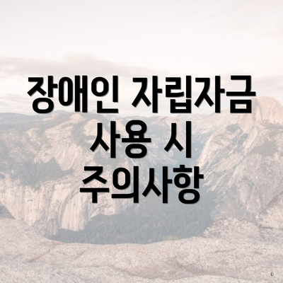 장애인 자립자금 사용 시 주의사항