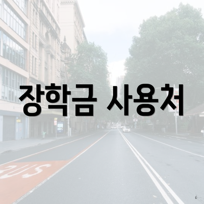 장학금 사용처