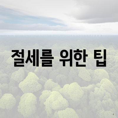 절세를 위한 팁