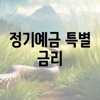 정기예금 특별 금리