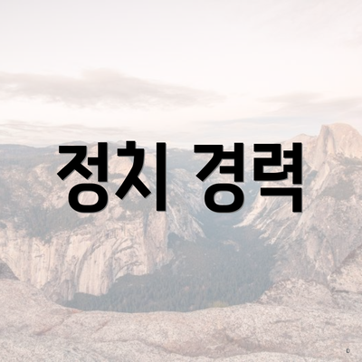 정치 경력