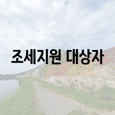 조세지원 대상자
