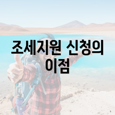 조세지원 신청의 이점