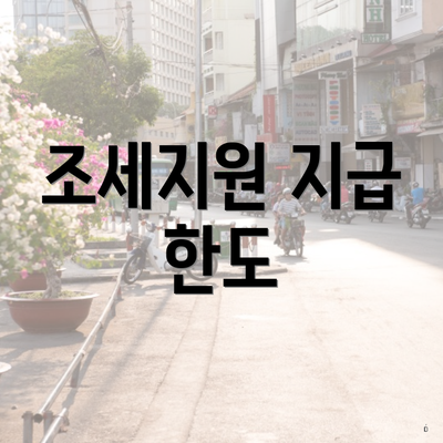 조세지원 지급 한도