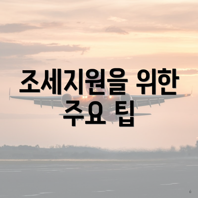 조세지원을 위한 주요 팁
