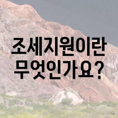 조세지원이란 무엇인가요?