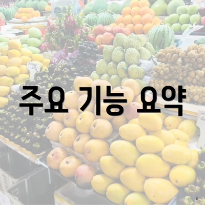 주요 기능 요약