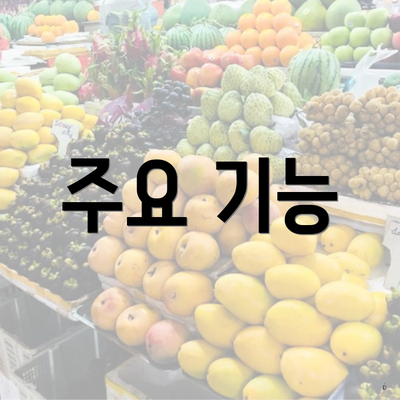 주요 기능