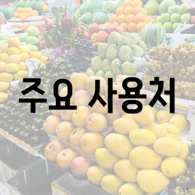 주요 사용처