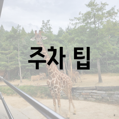 주차 팁