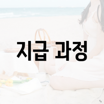 지급 과정