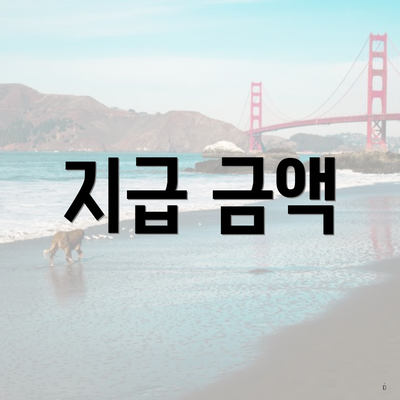 지급 금액