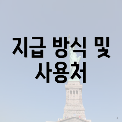 지급 방식 및 사용처