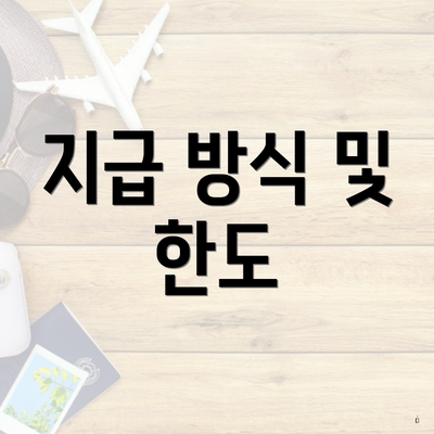 지급 방식 및 한도