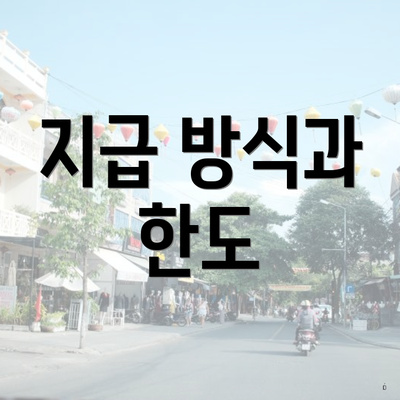 지급 방식과 한도
