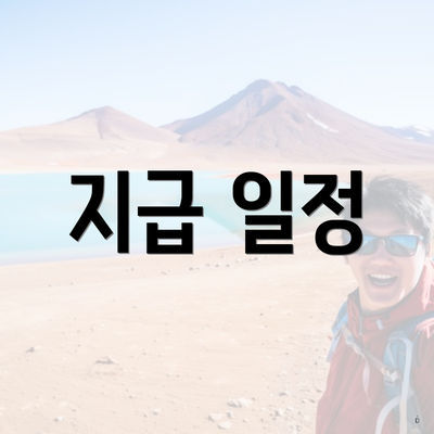 지급 일정