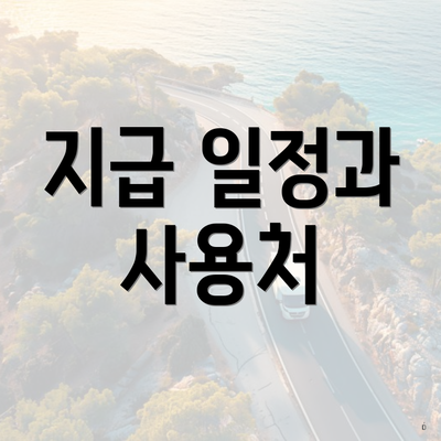 지급 일정과 사용처