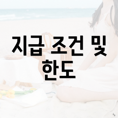 지급 조건 및 한도