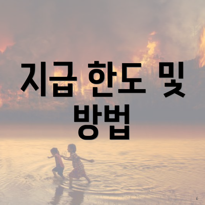 지급 한도 및 방법