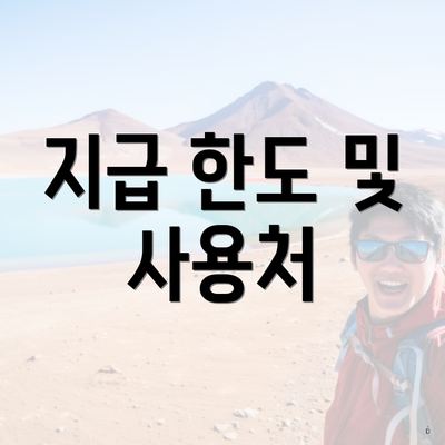 지급 한도 및 사용처