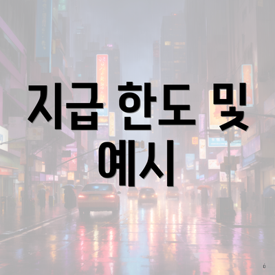 지급 한도 및 예시