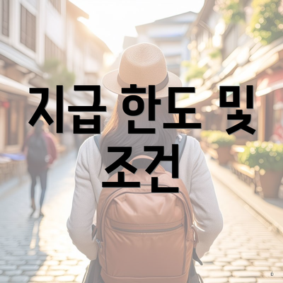 지급 한도 및 조건