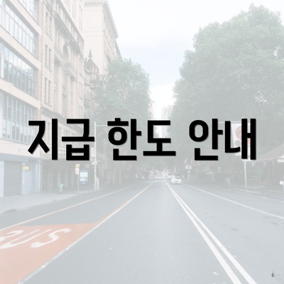 지급 한도 안내