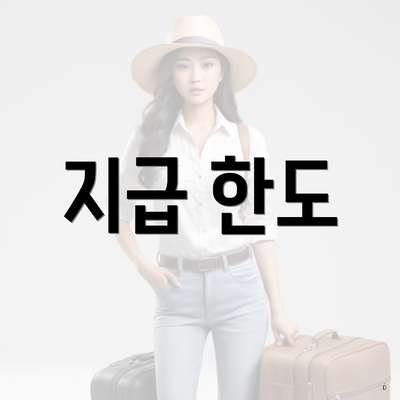 지급 한도
