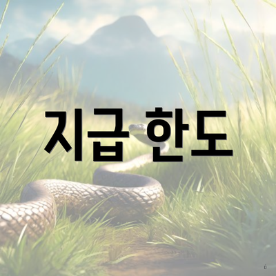 지급 한도