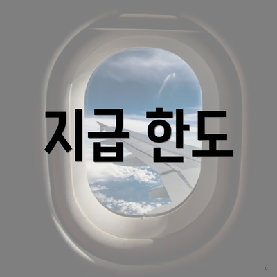 지급 한도