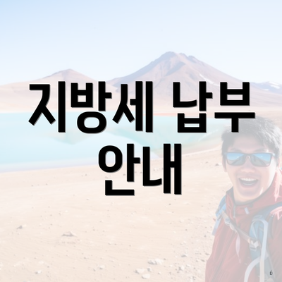 지방세 납부 안내