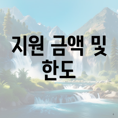 지원 금액 및 한도