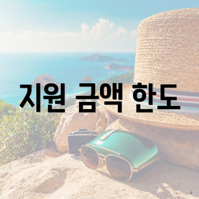 지원 금액 한도