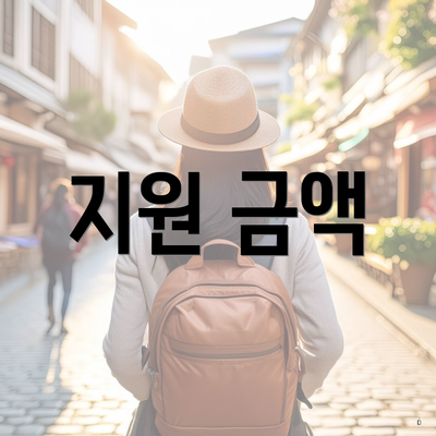 지원 금액