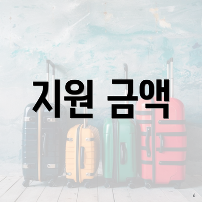 지원 금액