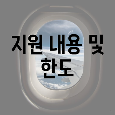 지원 내용 및 한도