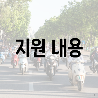 지원 내용