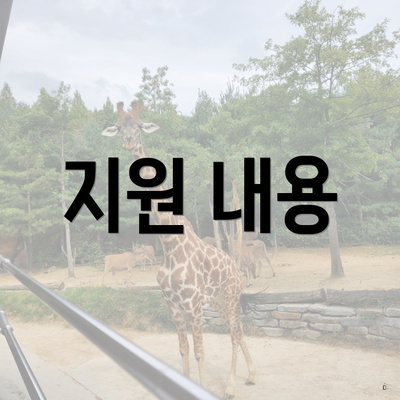 지원 내용