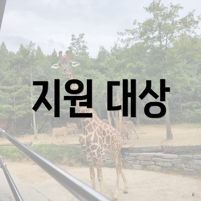 지원 대상