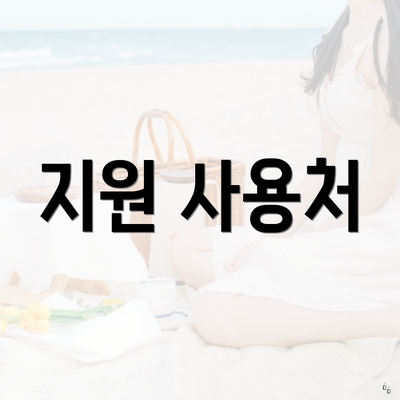 지원 사용처