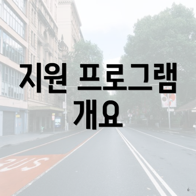 지원 프로그램 개요