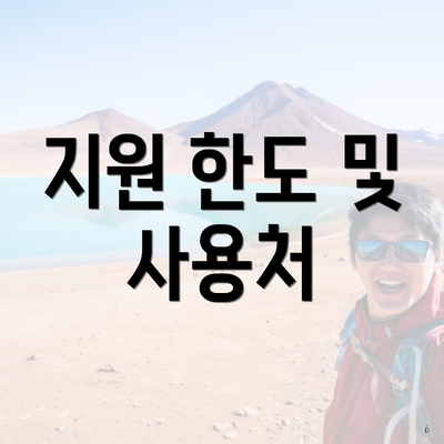 지원 한도 및 사용처