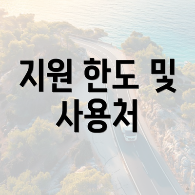 지원 한도 및 사용처