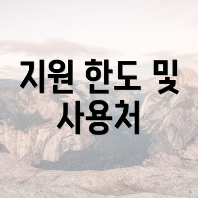 지원 한도 및 사용처