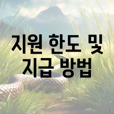 지원 한도 및 지급 방법