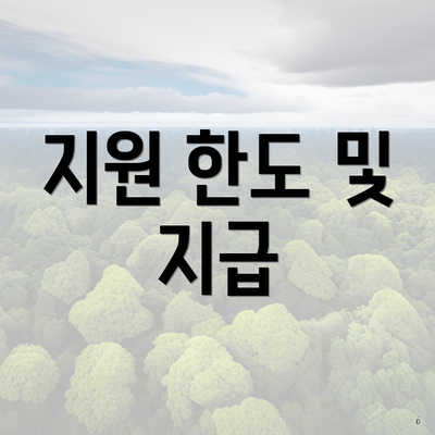 지원 한도 및 지급