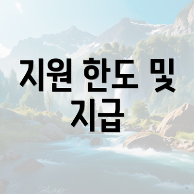 지원 한도 및 지급