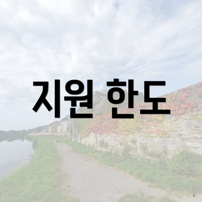 지원 한도