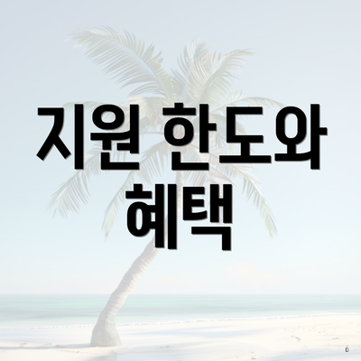 지원 한도와 혜택