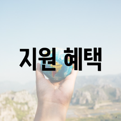 지원 혜택